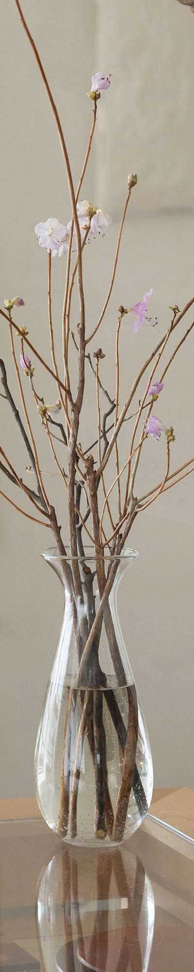 Tall Glass Vase
