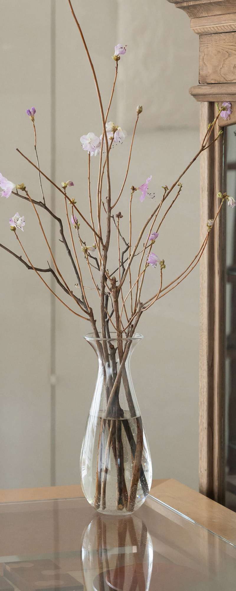 Tall Glass Vase