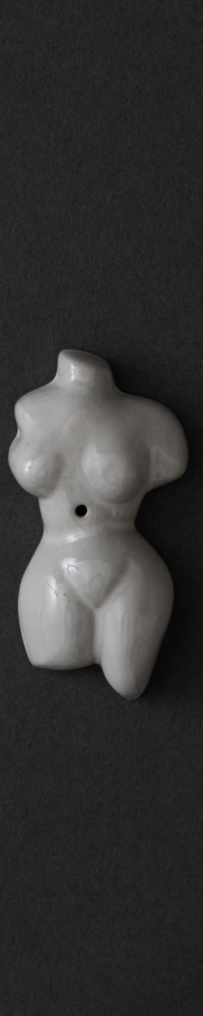 TORSO