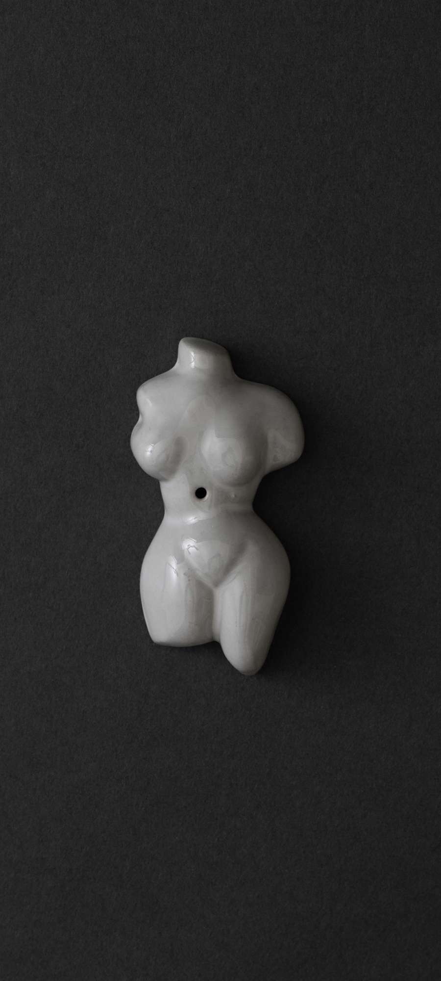 TORSO