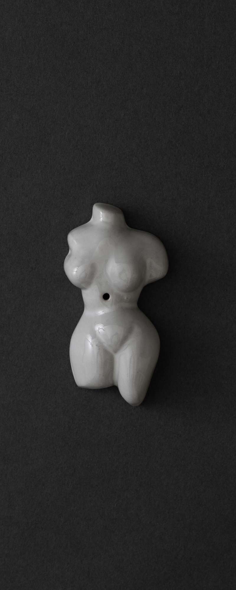 TORSO