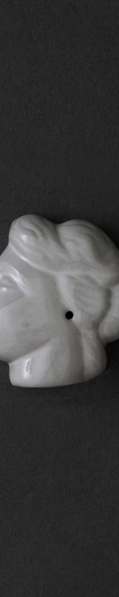 VENUS