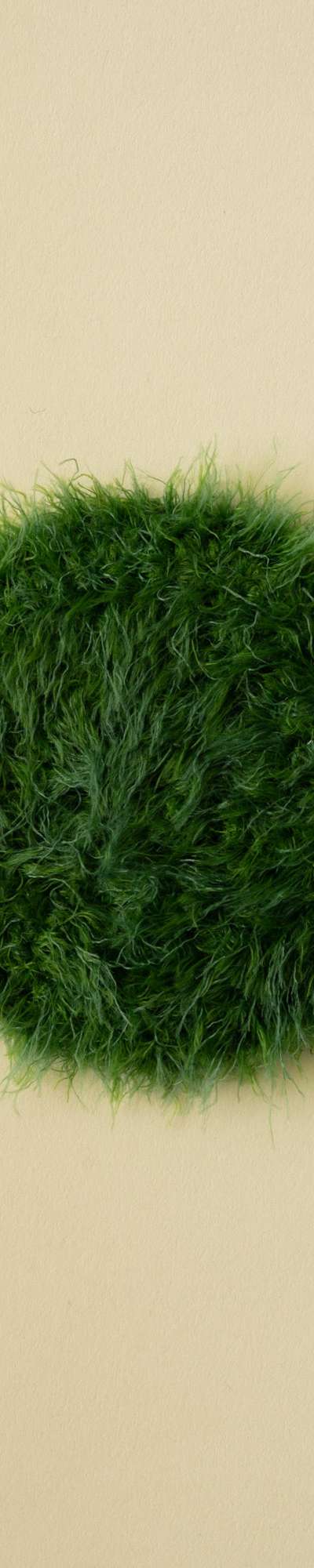 Grass Coaster 2