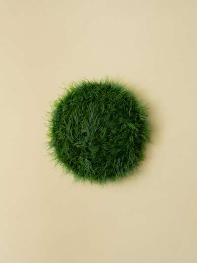 Grass Coaster 2