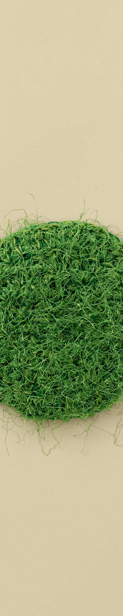 Moss Coaster