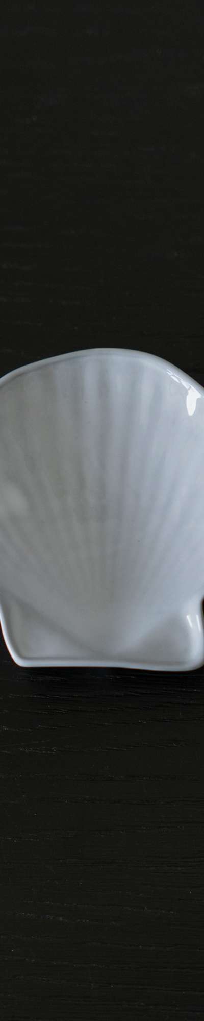 SHELL TRAY