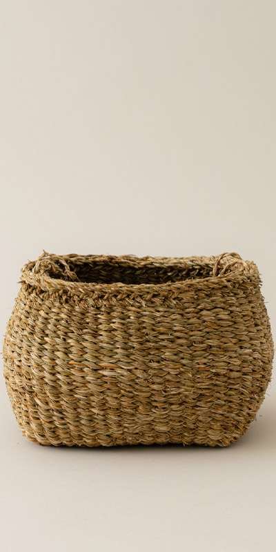 Seed Basket