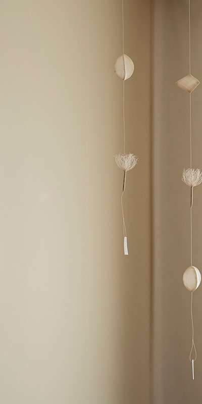 Dance of Dandelion Seeds