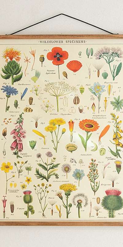 Vintage Poster 10 Types