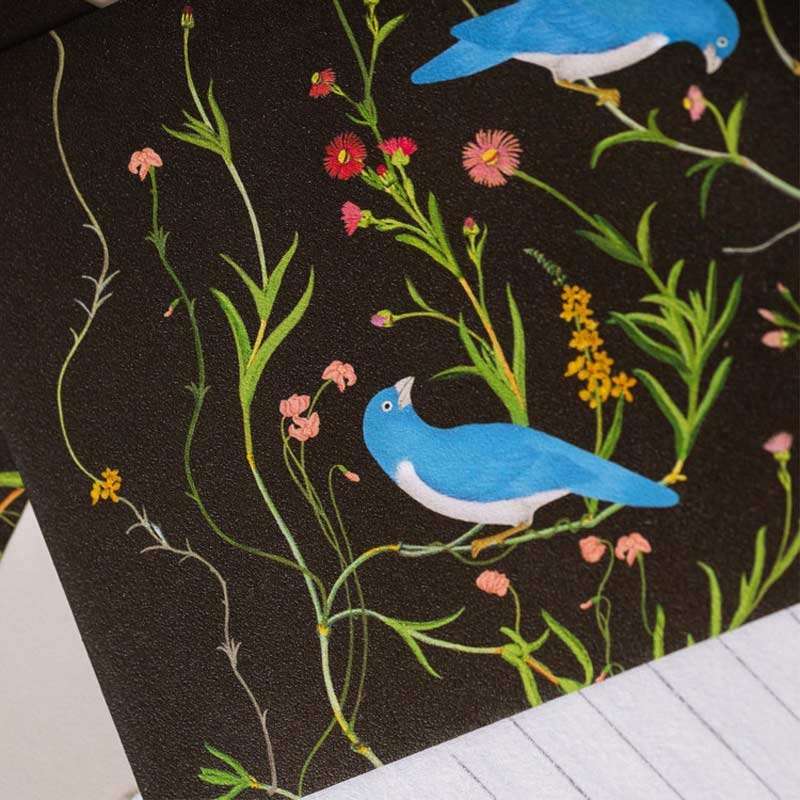Jiji Baebae Blue Bird Letter Set