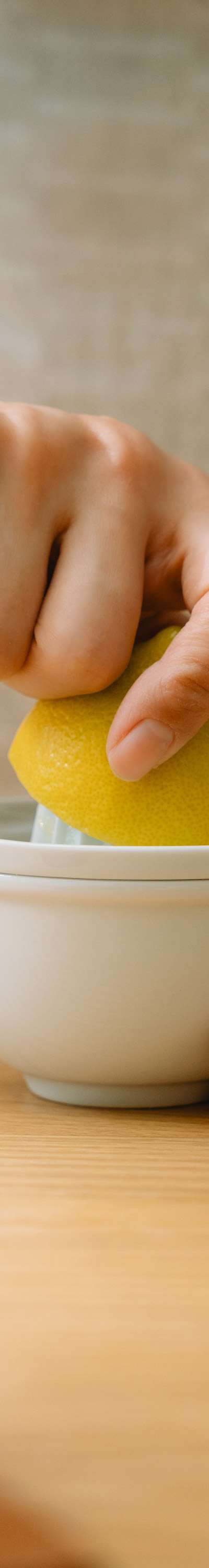 Squeezer S