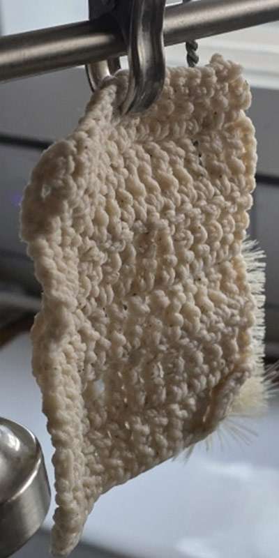 Rinsing Dish Scrubber