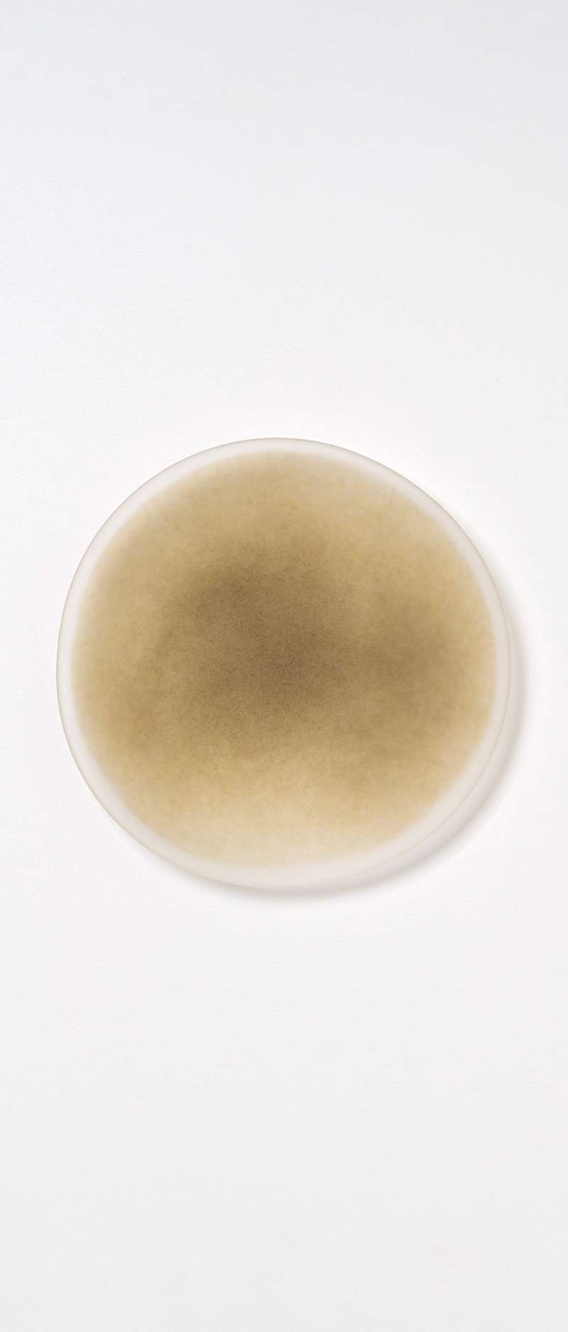 Rim Powdery OU Plate SS