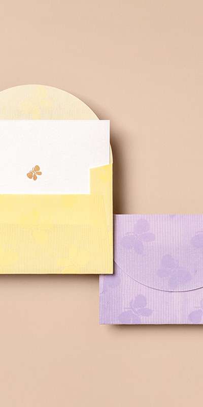 Card Envelope - Butterfly