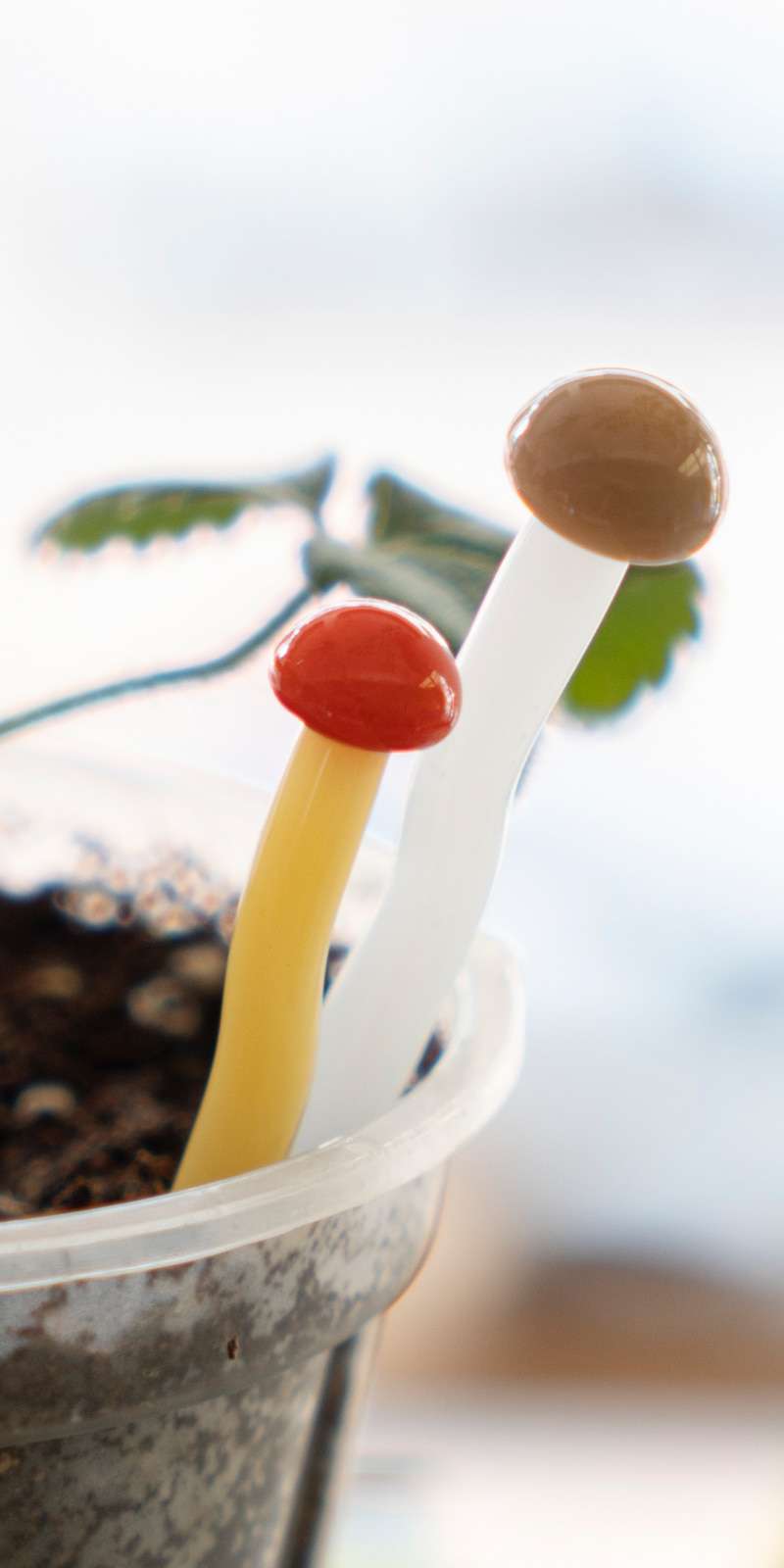 Mushroom Cake Topper