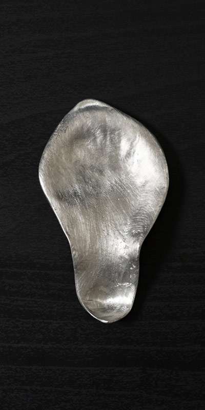 Magnolia Leaf