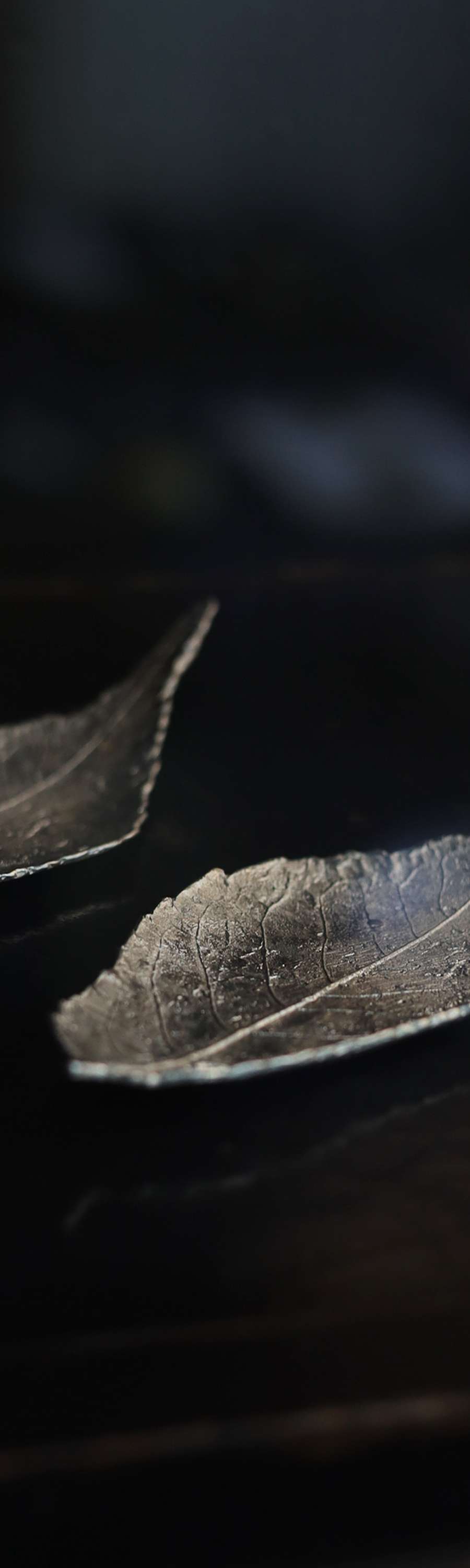 Cherry Blossom Leaf Dish