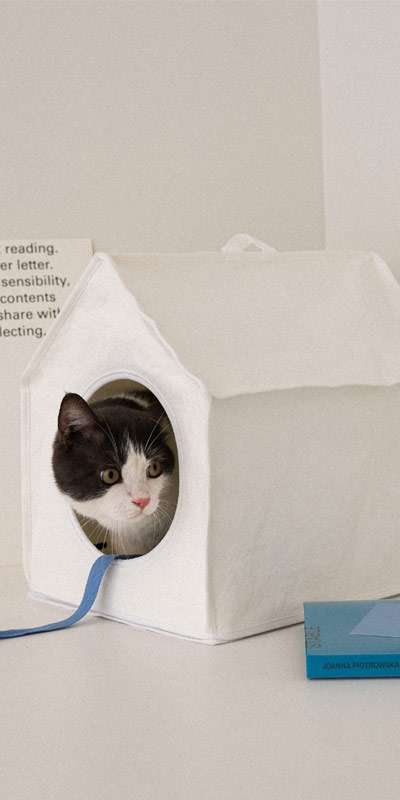 Sleep House