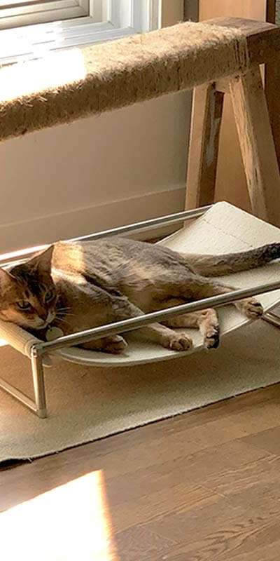 Cat Hammock Sunbed