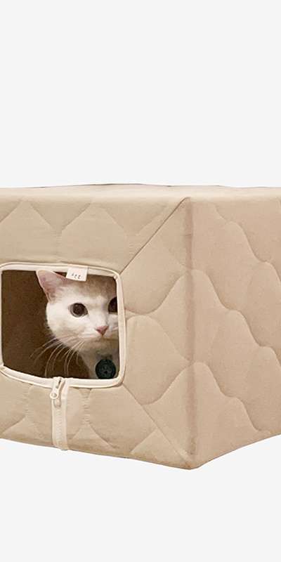 Quilted Cat Hide House