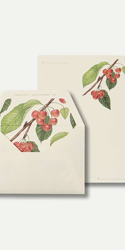 Letter Set - Rainier Cherry