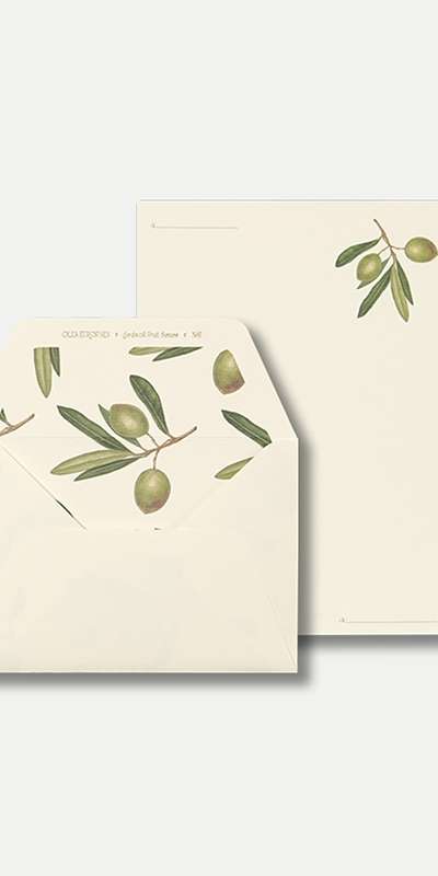 Letter Set - Olea Europaea
