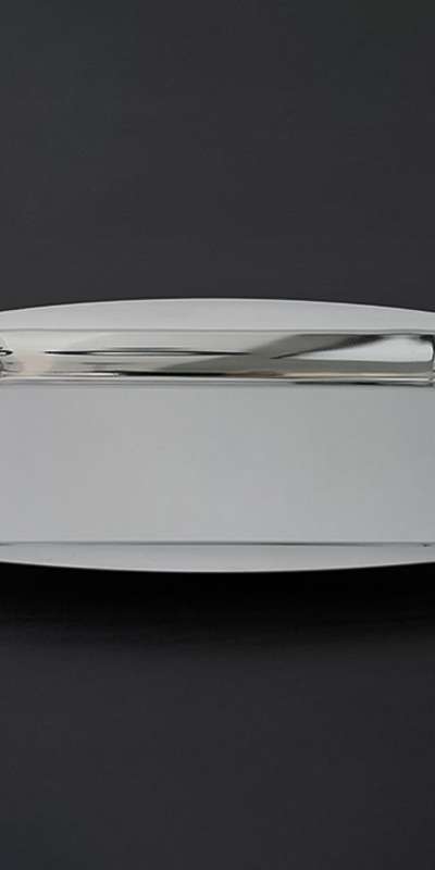 Modern Stainless Steel Rectangular Tray