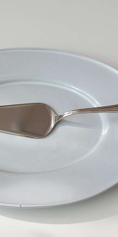 Filet Cake Server