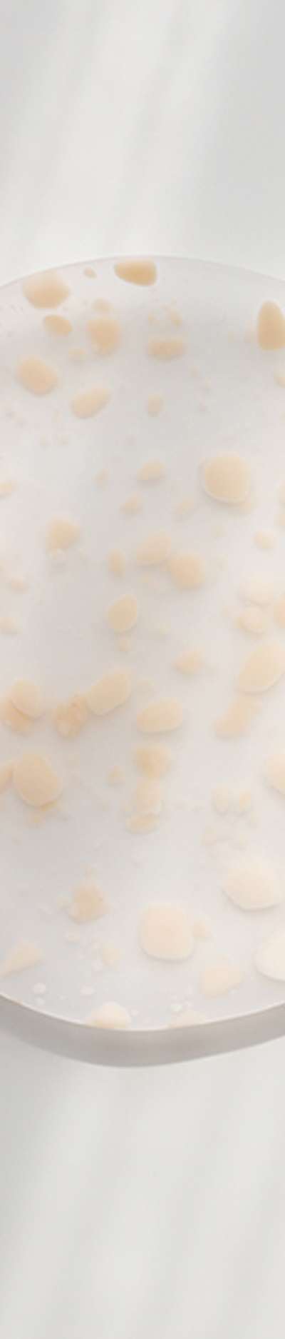 [Made to Order] FRIT OU Plate L
