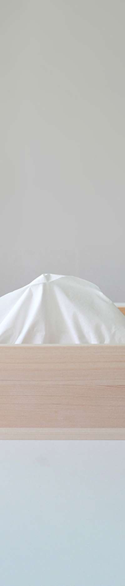 Hinoki Tissue Case