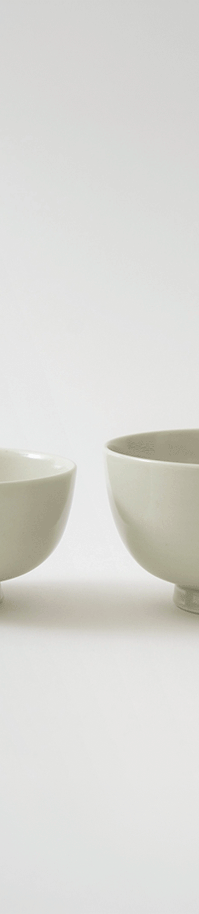 Plain Rice and Soup Bowl 5-Piece Set (5% Sale)