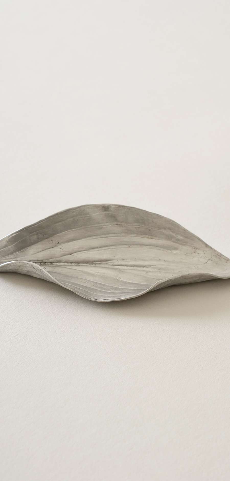 Lily Leaf Daha