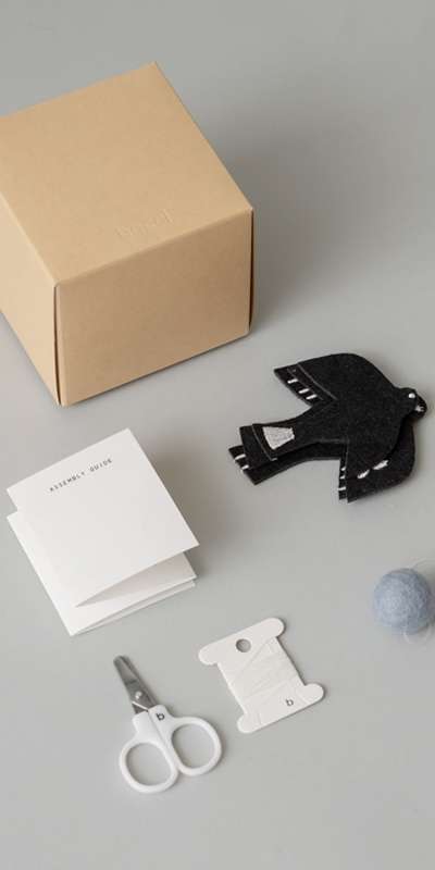 Birdie Mobile Kit