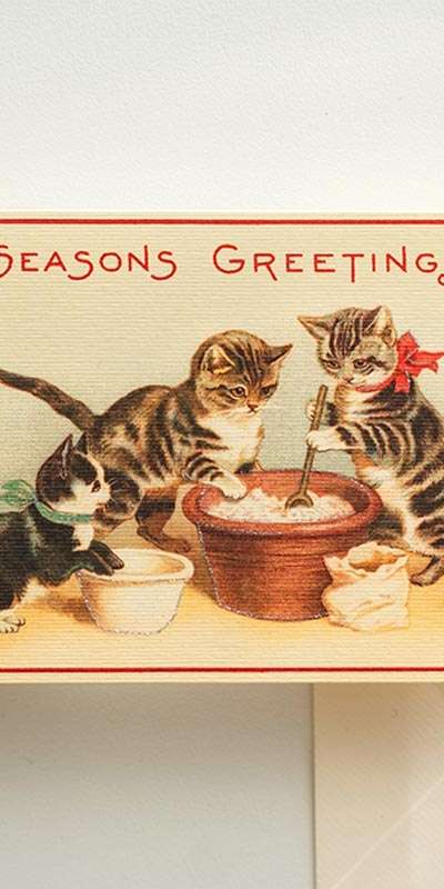 Christmas Cats 3 Card