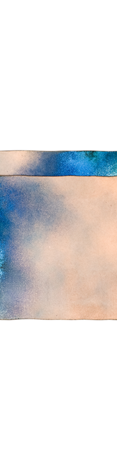 Enamel Paper Plate - Blue (2 OPTION)