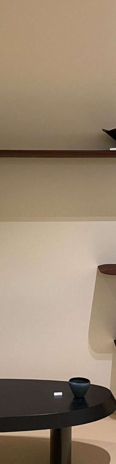 STILLIFE Wedge Wall Shelf
