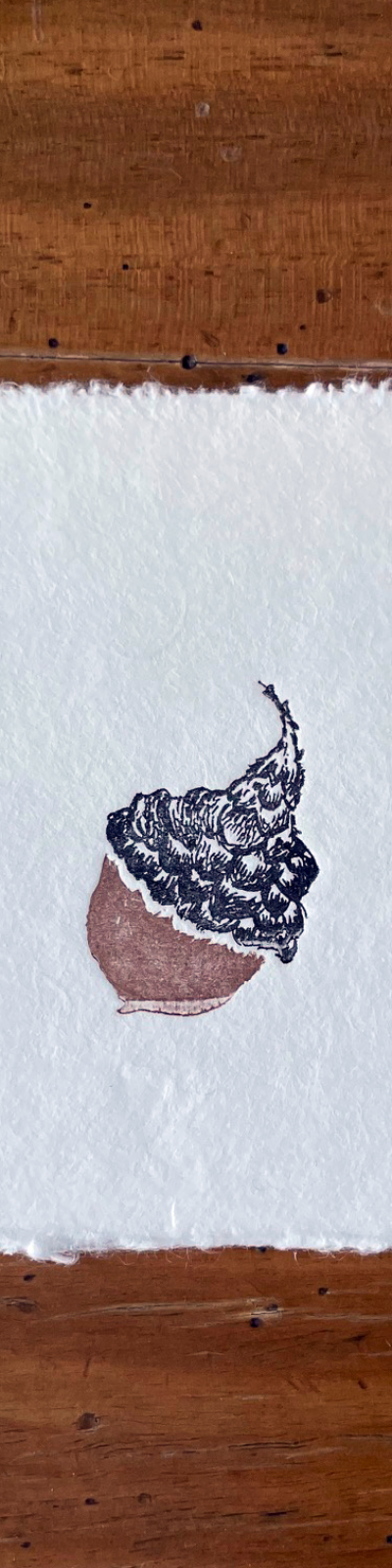 Hanji Letterpress Postcard - Acorn