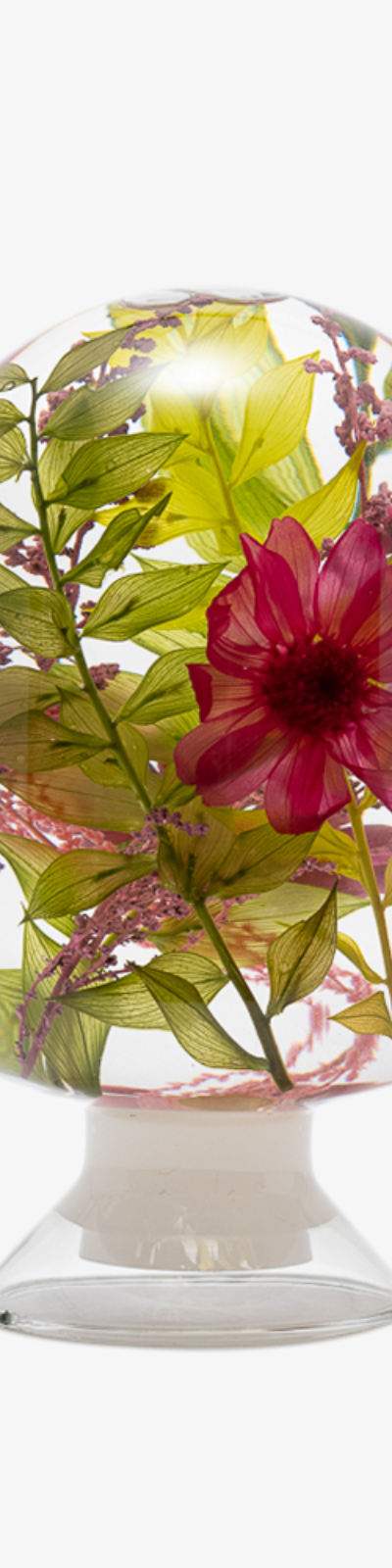 Herbarium - Summer Garden