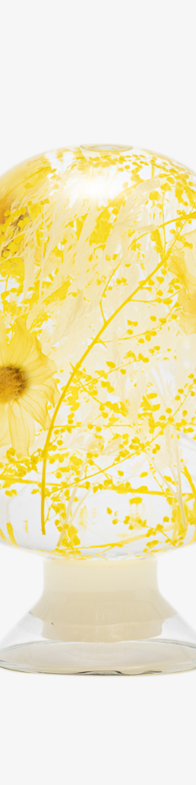 Herbarium - Spring Blossom