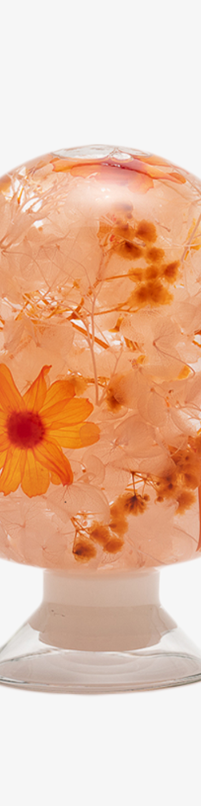 Herbarium - Orange Zinnia