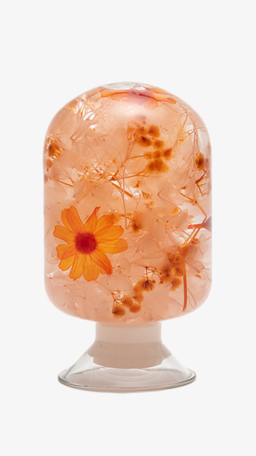 Herbarium - Orange Zinnia