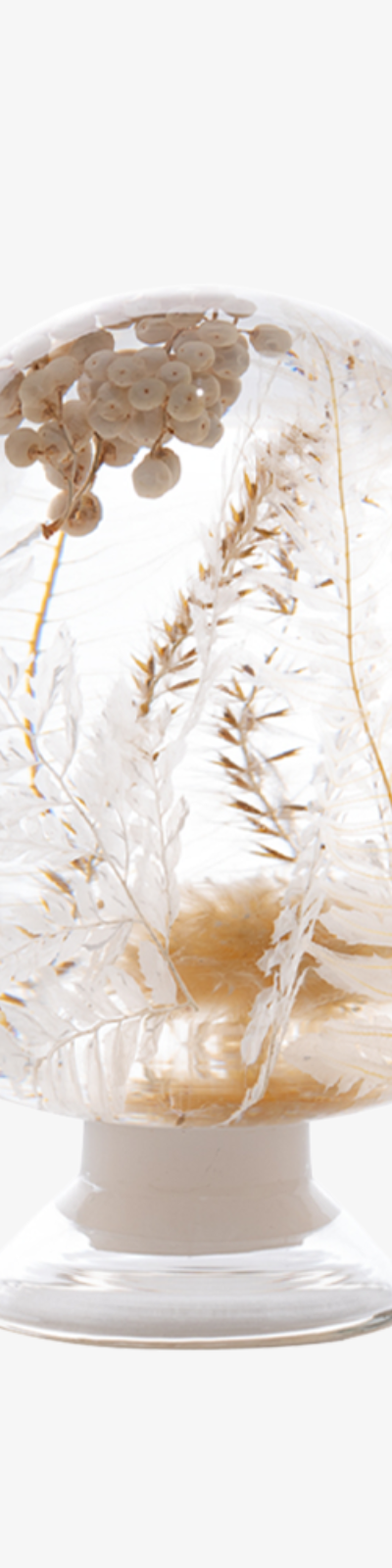 Herbarium - Snow White