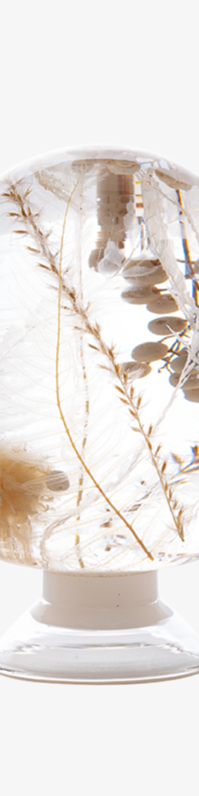 Herbarium - Snow White Gold Pearl