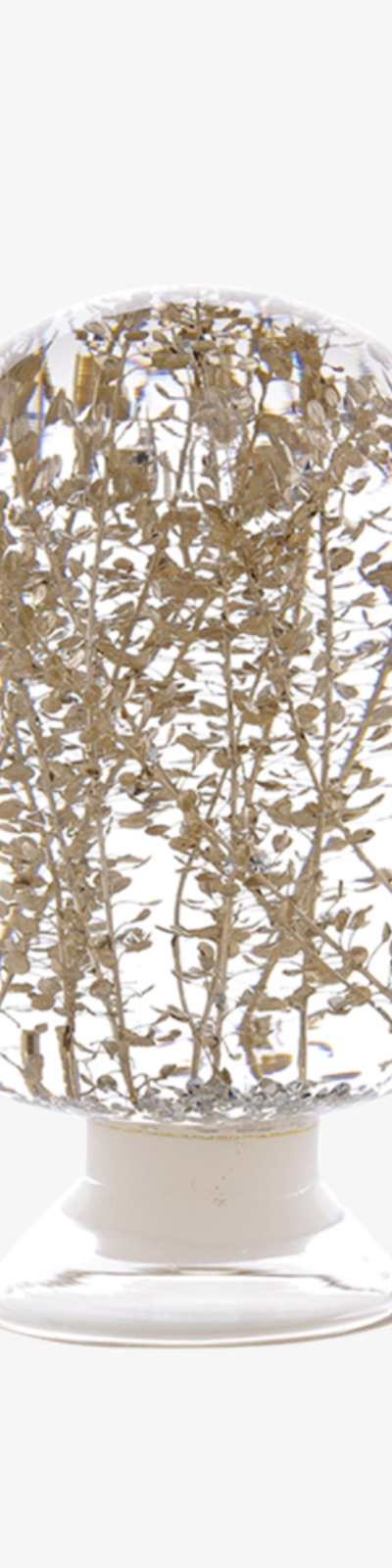 Herbarium - Silver Bell