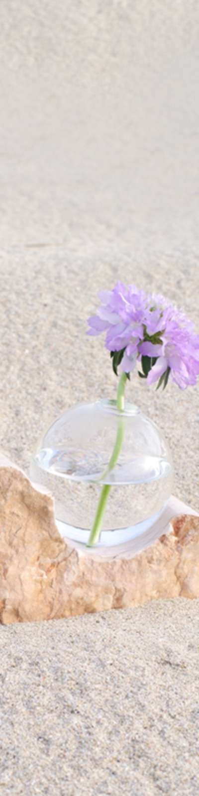 Move Vase #1