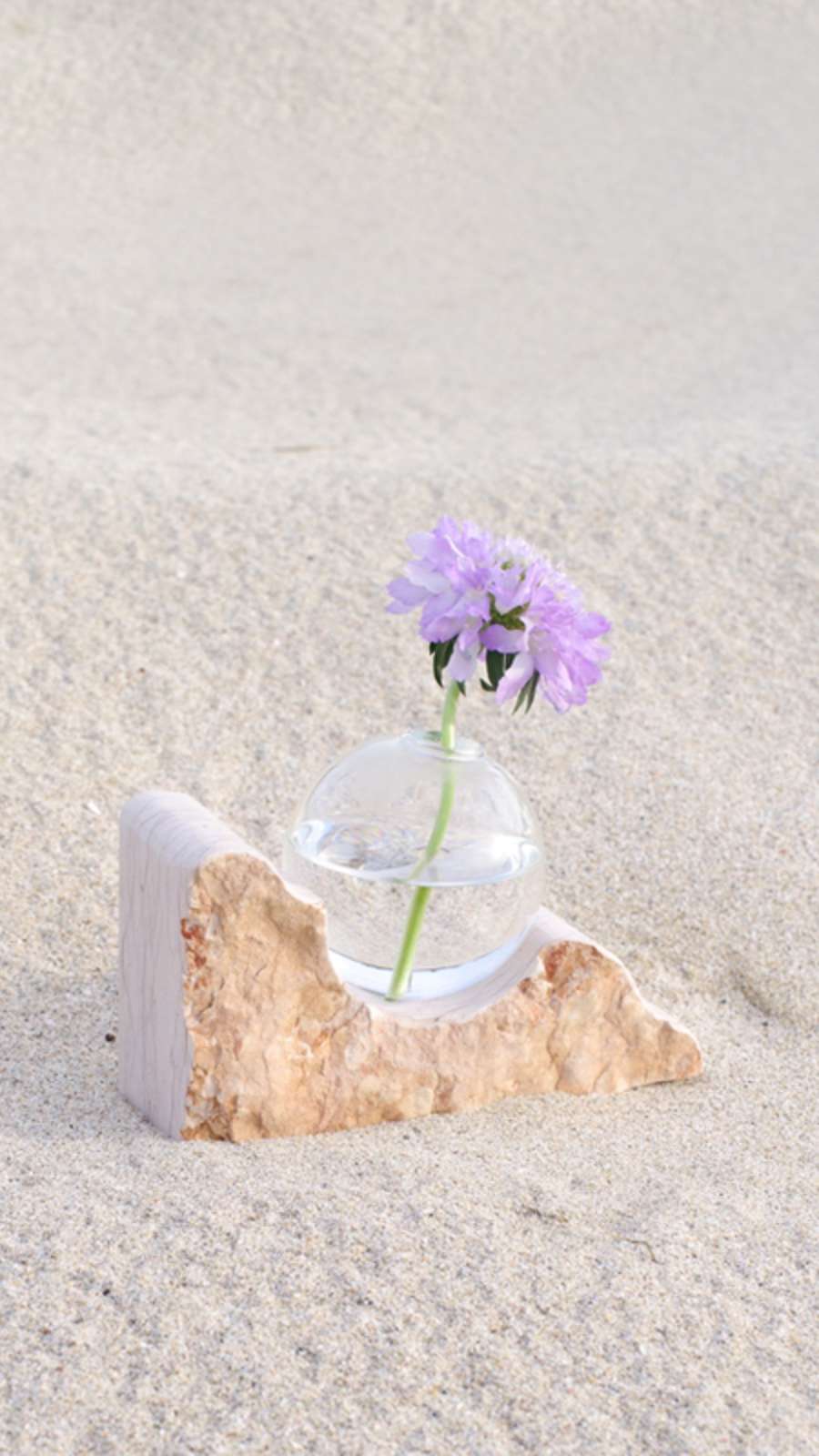 Move Vase #1