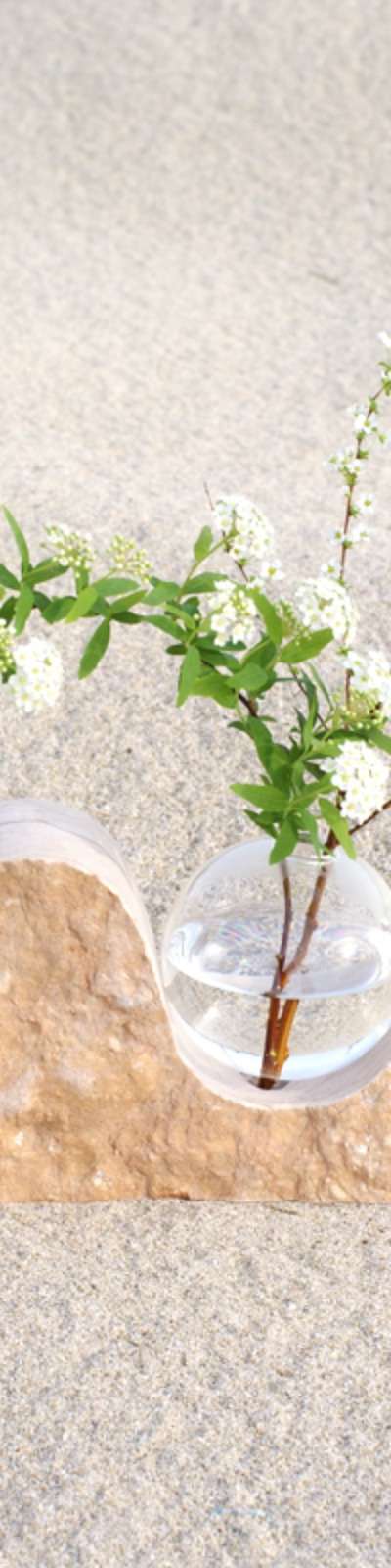 Move Vase #2