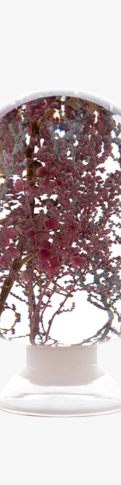 Herbarium - Pink Forest
