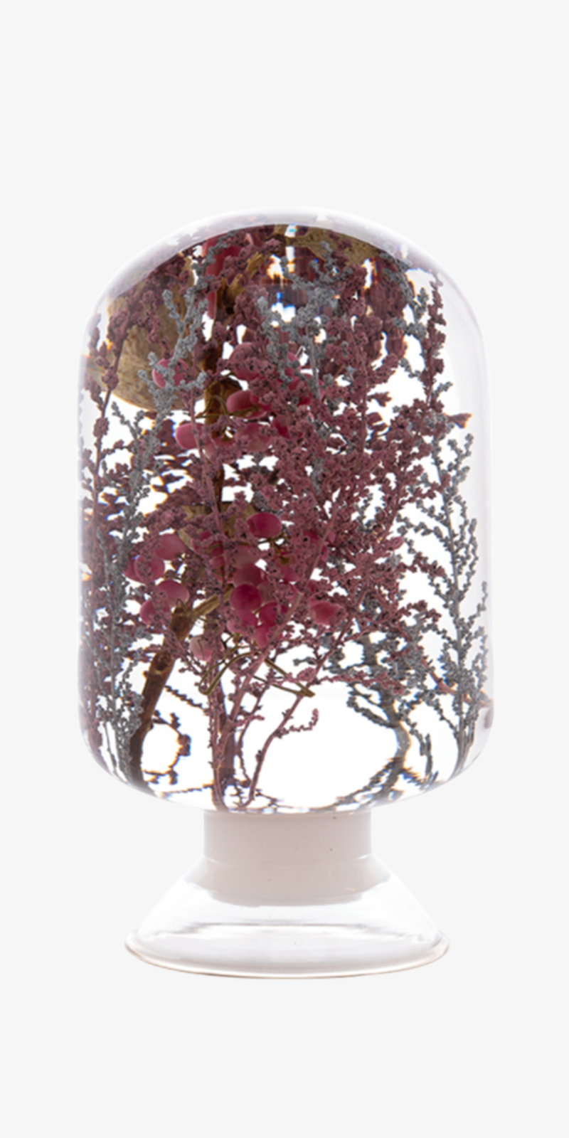 Herbarium - Pink Forest