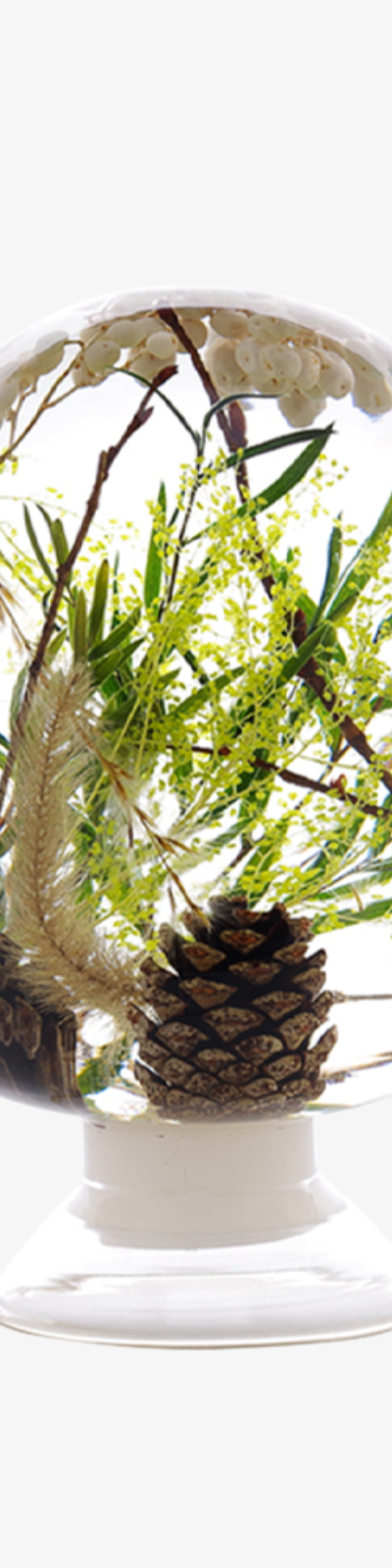 Herbarium - Green Forest
